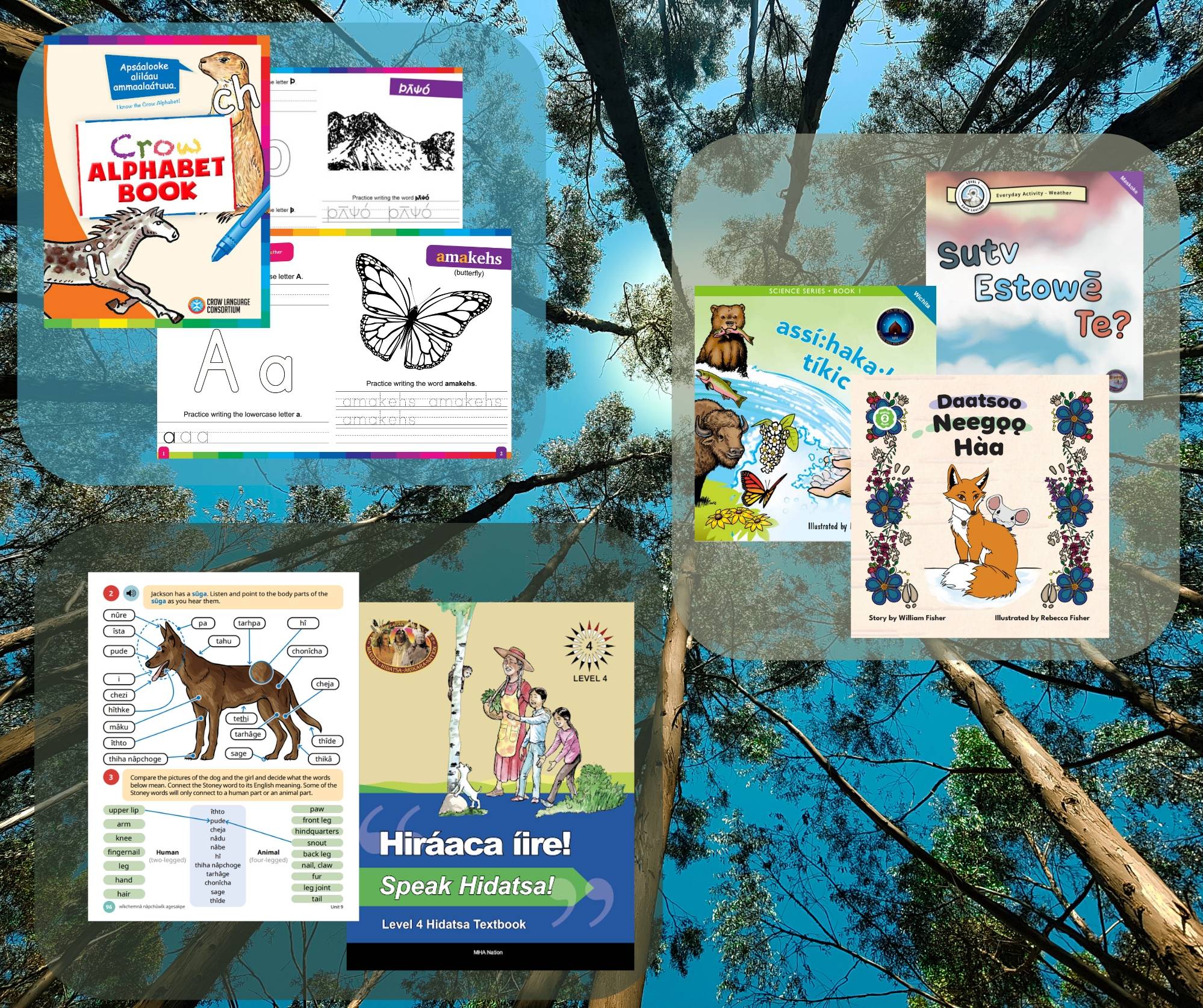 The Language Conservancy Printed Materials